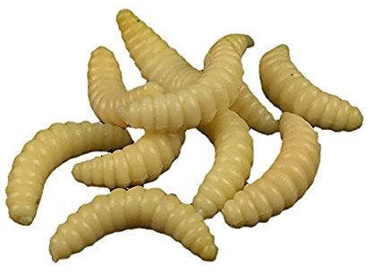 U-K 100 STÜCKE Gelb Simulation Angelköder Bionische Brotwanze 2,4 cm 0,5 g Weiche Lebensechte Köder Maden Grub Worms AngelgerätPractical Design and Durable