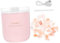 CIYODO Humidificateur De Pièce Veilleuse Humidificateur Pour Diffuseur De Chambre À Coucher Pierre De Sel En Cristal