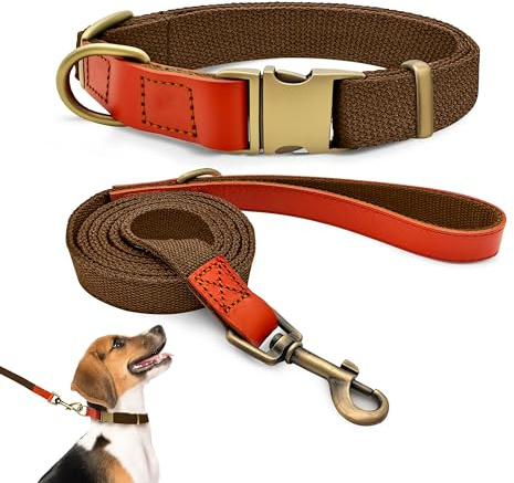 Hundehalsband und 150cm Leine Set M, Nylon Leder (Braun) | Verstellbares Set 1,5cm Breit Für Mittelgroße Hunde, Robustes Nylon Mit Leder-Details, Vintage Messing-Optik, Training