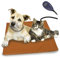 FONDOTIN Pet Heating Pad Für Hunde Und Katzen wasserdichte Beheizbare Tiermatte Mit Konstantem Temperaturregler Und Wärme Für Drinnen Farbe Kaffee