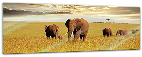 Bilderdepot24 Tableau en verre Motif éléphants, Verre, 120 cm x 40 cm