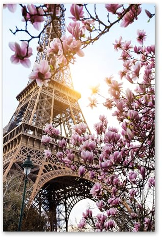 Postereck - 2534 - Eiffelturm, Paris Frankreich Magnolie Baum Park - Wandposter Fotoposter Bilder Wandbild Wandbilder - Leinwand - 60,0 cm x 40,0 cm