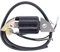 EUPLI Zündspule Für Honda Motormotoren G150 G200 G300 TILLERS F400 F500 Ersetzen Sie 30560-887-015 30500-887-303 30560-883-015