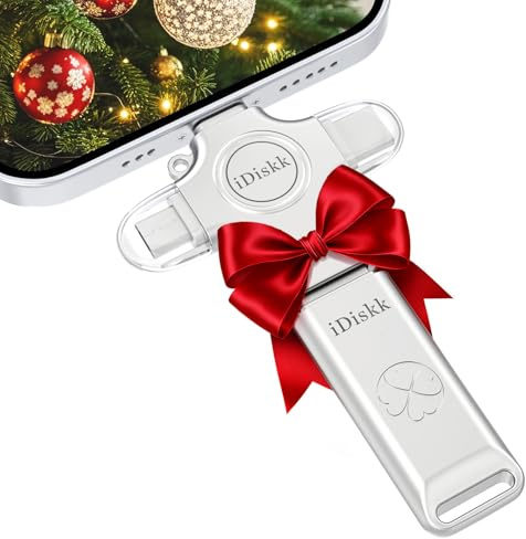 iDiskk 4-in-1-USB-Stick 256 GB Automatische Sicherung und Übertragung von Fotos und Videos für Windows/macOS/iOS/Linux/Android Zinklegierung