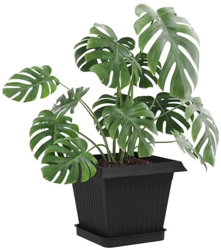 vidaXL Blumentöpfe 24 pcs Schwarz 16 x 16 x 14 cm Kunststoff, Moderne quadratische Pflanzenübertöpfe, leichtes Plastik, Coole Deko für drinnen und draußen