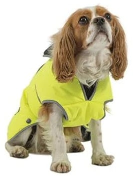 Ancol Muddy Paws All Weather Stormguard Dog Puppy Coat Hi Vis - Waterproof Pet Jacket with Fleece Lining and Chest Protector - Elasticated Neck and Leg Straps - 50 cm Length up to 79 cm Girth - Large