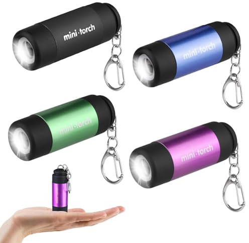 4 Stück Mini LED Taschenlampe,Kindertaschenlampen,Kleine LED Taschenlampe Schlüsselanhänger,Taschenlampe USB Aufladbar,Taschenlampe Klein,für Klettern,Camping,Outdoor,Geschenke zum Kindergeburtstag