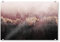 artboxONE Acrylglasbild 150x100 cm Glasbild Natur Pink Sky Illustration Bild hinter Acrylglas - Bild Rose Himmel Rose