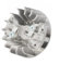 Motorsäge Trimmer Magneto Schwungrad für Husqvarna 136 137 141 142 Kettensäge