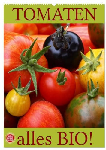 Tomaten - Alles BIO! (Wandkalender 2026 DIN A2 hoch), CALVENDO Monatskalender: Wunderbare Tomatenernte aus einem natürlich, biologischen Garten (CALVENDO Gesundheit)