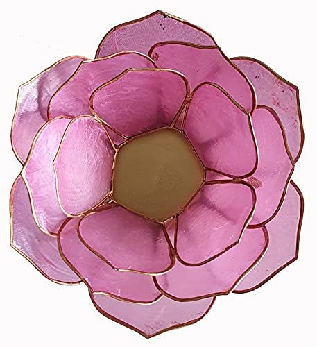 Trimontium Blütenkelch Capizhalter, Capiz, Rosé, 13 cm