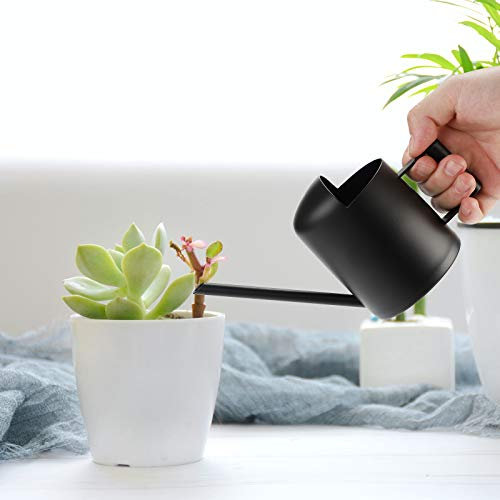 Danolt Regadera de Acero Inoxidable 300 ml Bonsai Regadera Planta Mini Regadera de Metal para Plantas para Jardín Hogar Oficina