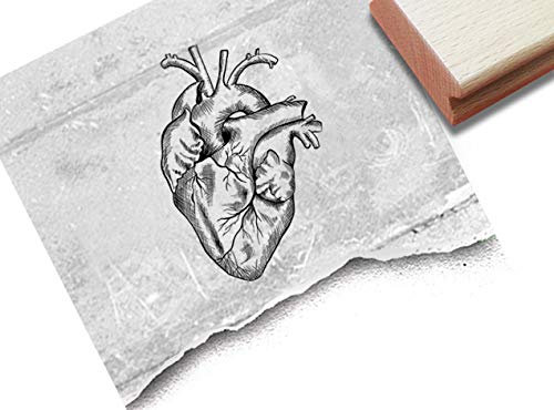 Stempel Anatomisches Herz - Motivstempel Medizin Schule Liebe Valentinstag Hochzeit Karten Scrapbook Bullet Journal Basteln Kunst Deko - zAcheR-fineT (groß ca. 61 x 89 mm)