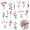 40 Stk Blume Aufkleber Abziehbilder, Scrapbooking Blume Aufkleber Sticker Selbstklebende Dekoration Transparentes für Laptop, Handy, Wand, Möbel, Scrapbook, Auto, Fahrrad - Pinke Blume