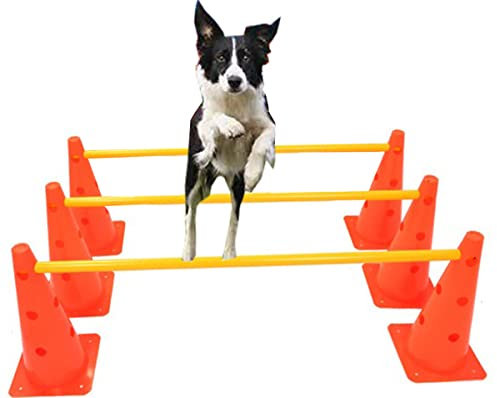 ND Sports Best Dog Agility Set Jump Training Practice Equipment Pets Jumping Hurdle Cones System UK