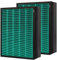2 Pack 400 400S Replacement Filter for Coway Airmega Max2 400 400S 400(G) 400S(G) Air Purifier, Max2 Green H13 True Hepa and Active Carbon Filter, AP-2015-FP