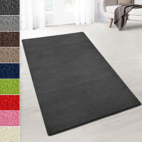 Floordirekt Velours-Teppich auf Maß - Flauschiger Teppichläufer für Küche, Flur, Wohnzimmer - Teppich Meterware Dynasty (Anthrazit, 200 x 150 cm)