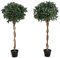 Blooming Artificial - Fake Bay Laurel Tree, Available in Four Sizes, UV Stable Outdoor and Indoor Artificial Topiary Tree (2, 120 cm)