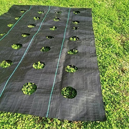 Toyfun 2Pack 3x12ft Easy-Plant Weed Block Gardening Weed Blocker Barrier Ground Cover with Planting Hole Dia 3 for Raised Bed Outdoor Garden Weed Rugs Garden mat