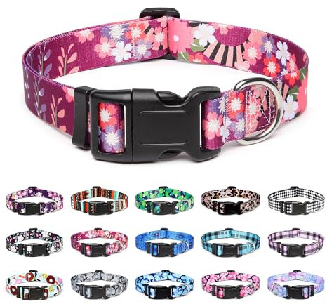 Mercano Adjustable Dog Collar - Special Design Patterns, Soft Nylon Comfortable Durable Pet Collar for Small Medium Large Dogs (L, Colorful Flower)