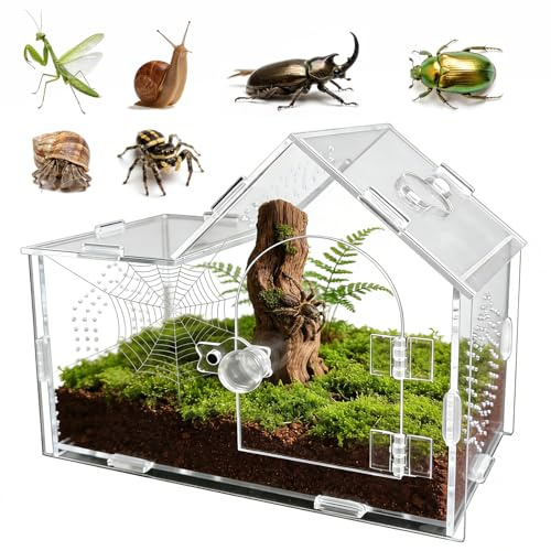 GTSEEMUU Boîte de Terrarium en Acrylique pour Araignée Sauteuse avec Verrou Magnétique – Boîte Transparente et Ventilée pour Tarentules, Lézards, Mantes, Bernards-l'ermite, Escargots et Autres Petits