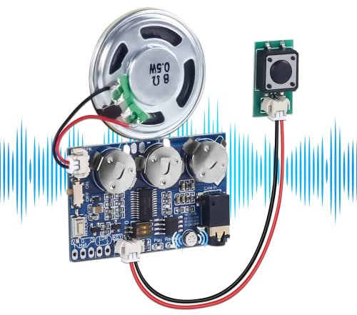 DONGKER Modulo Audio Vocale Scrivibile, 17 Minuti di Registrazione, Lettore Musicale Con Altoparlante, Per PC, Carillon Fai Da Te, Biglietto