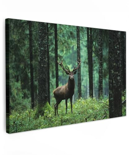 MuchoWow© Impression sur Toile Peinture 30x20 cm Tableau Mural Decoration Salon Reproductions de Tableaux Murale Moderne Cerf - Forêt - Arbres - Animaux - Nature