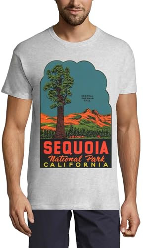 Sequoia National Park California General Sherman Tree Crew Neck Cotton Men's T-Shirt Ash Small