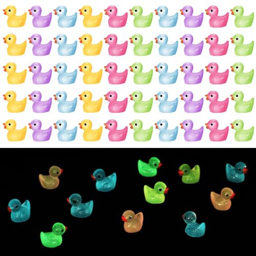 Halinuia Mini Canards 50 pièces en 5 Couleurs Mini Canards en résine,Canards résine Figurines de Multicolores Décoration de Paysage