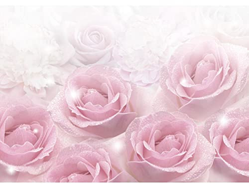 Runa Art Papier peint intissé fleurs roses 352 x 250 cm Toison Mur XXL Tableaux Muraux Tapisserie Photo Décoration Murale Salon Chambre rose 9412011a