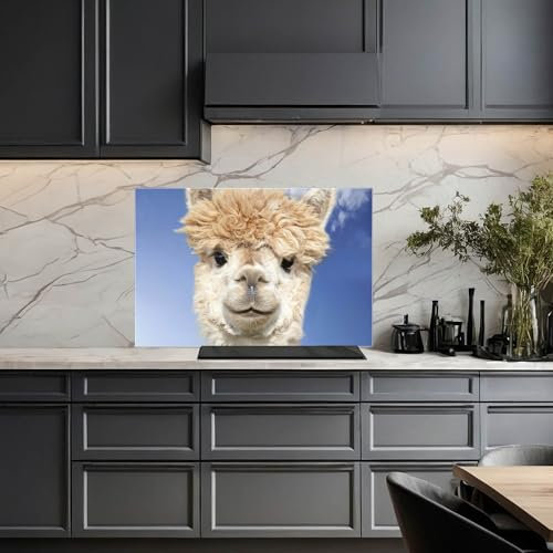 banjado Küchenrückwand Glas ohne Bohren 60x40cm – Glasrückwand Küche mit Motiv Lama/Spritzschutz Küchenrückwand Glas/selbstklebende Küchenrückwand Platte - magnetisch & beschreibbar