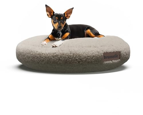 brunolie SnugNest Hundebett Rund 50 cm – Weiches Bouclé-Gewebe, rutschfeste Unterseite, Tragegriff, Waschbarer Bezug, Hochwertige Polsterung, Für Kleine Hunde, Mittelgrau