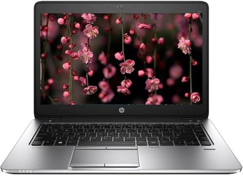 HP Elitebook 725 G4 Business - Ordenador portátil de 12,5 pulgadas, AMD Pro A10-8730B, 8 GB de RAM, SSD de 256 GB, teclado EE.UU., Windows 10 Pro (Reacondicionado)