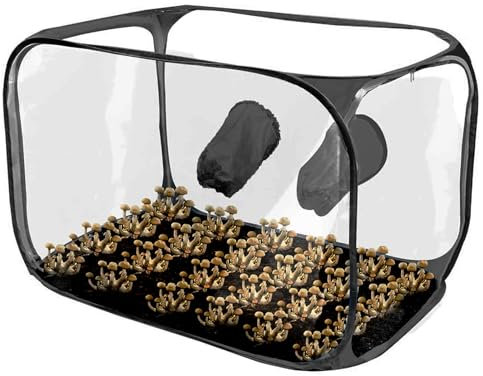 Generico Still Air Box, Fungo Grow Box,Mushroom Grow House Indoor - Serra ventilata per impianto aria trasparente.