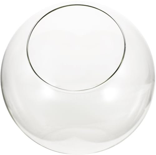 GANAZONO Terrarium Globe Display Slant Cut Bubble Bowl Glass Tabletop Succulent Air Plant Planter Globe 20cm