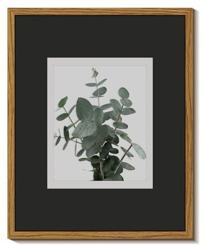 InSimSea Framed Wall Art for Living Room and Bathroom - Botanical Canvas Prints, Modern Plant Pictures, Farmhouse Eucalyptus Decor for Bath and Laundry Room - Rustic Painting Artwork 8x10in