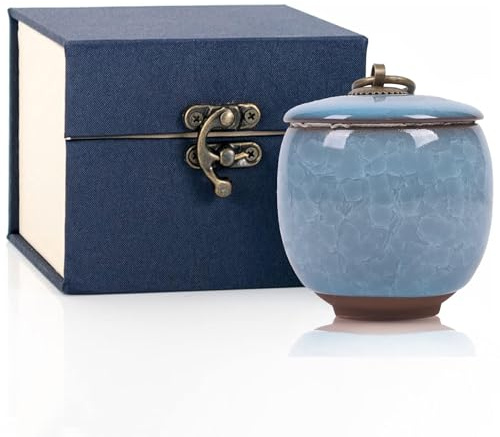 Small Urns for Human Ashes,Ceramic Memorial Mini Ashes Urns,Hold 5.5 Cubic Inches of Ashes,For Human Or Pet Ashes,Beautiful Mini Sharing Funeral Urns with Exquisite Box (Light blue)