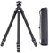 Trípode de Viaje FALCAM TreeRoot Quick Lock Lite de Fibra de Carbono con rótula F38 y Sistema de liberación rápida. Carga útil Vertical máxima de 40 kg para cámaras (C141K-301).
