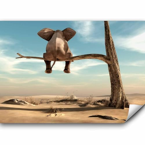 murando - Vlies Fototapete Elefant auf dem Baum 350x256cm Foto Tapete Schlafzimmer Wohnzimmer Vliestapete XXL Motivtapeten Bildtapete 3d Effekt Wand Dekoration - Wüste Tier Natur Himmel g-B-0033-a-a