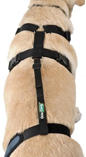 Ortocanis - Haltegurt für Kniebandage Hund - Verhindert das Abrutschen und Sichert die Kniebandage - Fördert die Stabilität - Größe Gurtband + Geschirr: S 48-63 cm