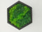 LoveLasy Bicolor Moos Wandbild Hexagon für Haus und Büro, Moosbild
