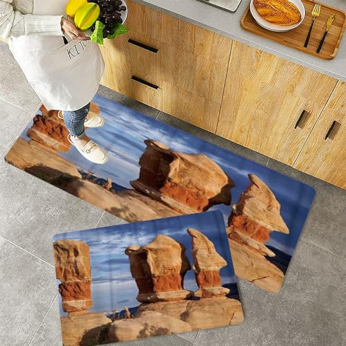 QRFASFZO Küchenteppiche 2 Stück, Rutschfestes Küchenmatten,Teufels Garten,Pflegeleicht, Anti-Müdigkeit Küchenteppich Teppich Läufer für Küche (45x70+45x120cm)