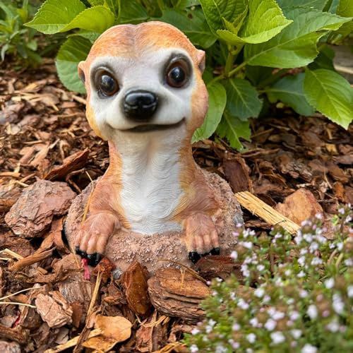 Online Fuchs Erdmännchen guckt freundlich aus dem Erdloch - Deko Figuren für den Garten - Gartenfiguren wetterfest aus Kunstharz für außen
