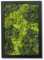 comforder Cuadro rectangular con musgo real (24 cm), diseño de musgo conservado con marco de madera, decoración de pared natural para salón