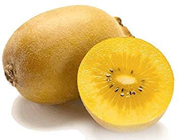 Golden Kiwi Fruit 50 Seeds