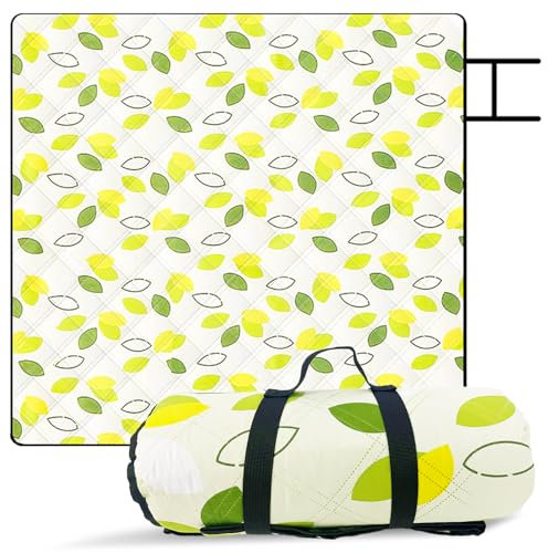 Kyzuzia 200 x 200 cm, coperta da picnic, pieghevole, ideale per parchi in spiaggia, questo colore è popolare tra i ragazzi ed è la scelta migliore per lei, grande, pieghevole, portatile