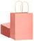 Gcardist Lot de 16 sacs en papier kraft avec poignées - 21 x 15 x 8 cm - Petit sac cadeau - Rose clair - Plusieurs utilisations (8,3 x 6 x 3 pouces, petite taille)