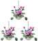ibasenice 3pcs Miniature House Potting Decoration Rose Hanging Basket Flower Ornament for Creative Home Decor Lightweight Safe Material Detailed Design for Boys and Girls Rooms