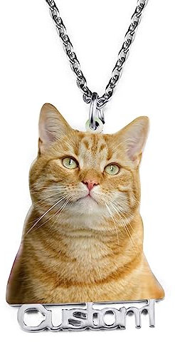 OTXIXTO Personnalisé Chat Chien Image de Portrait d'animal de Compagnie et Nom Pendentif Collier Pet Memorial Cadeau pour Amoureux des Animaux (1 Nom, Cadre d'animal De Compagnie)