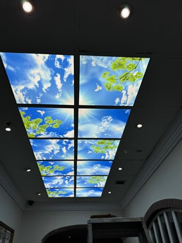 Generic 4 Pack LED Sky Panel 600x600 Blue Sky Bird Design 160W Office Tiles Clinic Practice Ceiling Lighting